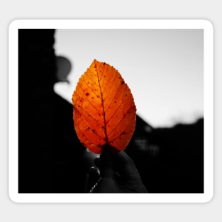 What can I use autumn leaves for? Sticker